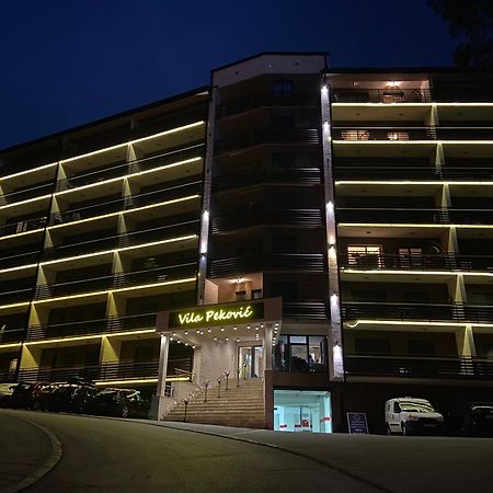 Apartment Pino Bianco 1 - Vila Pekovic Zlatibor Exteriör bild